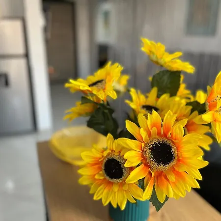 Daire Yellow Köstence