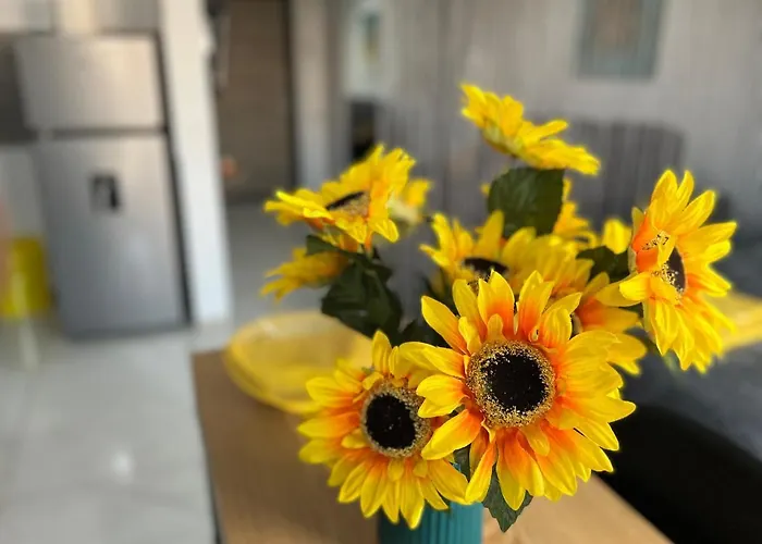 Daire Yellow Köstence